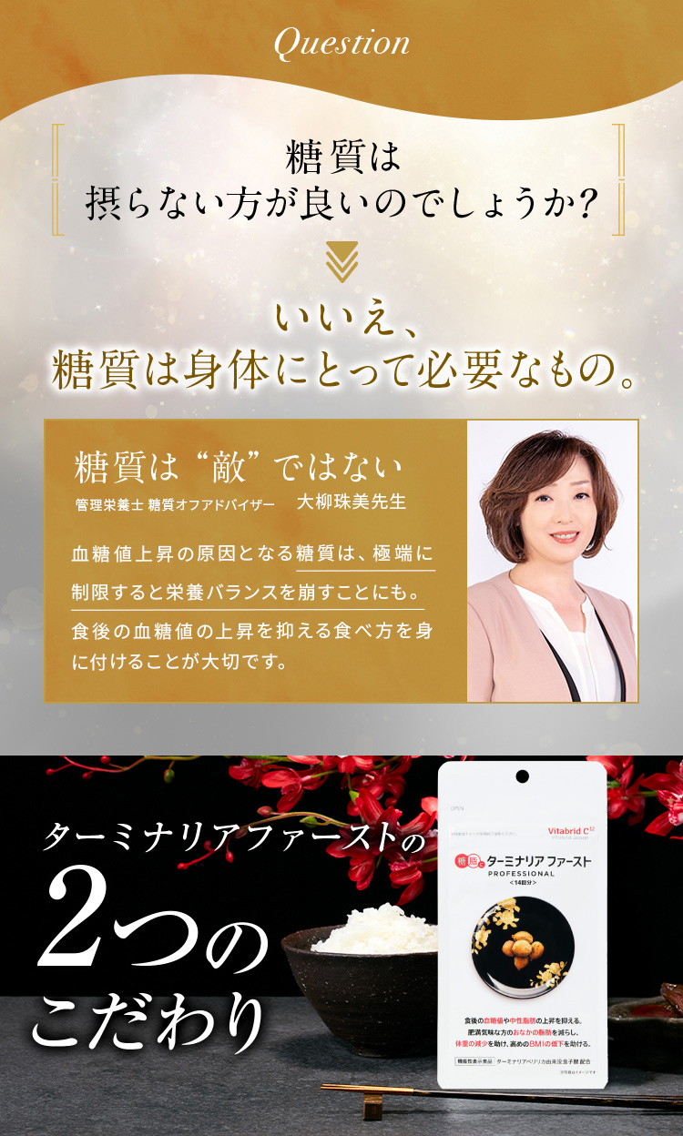 ターミナリアファースト