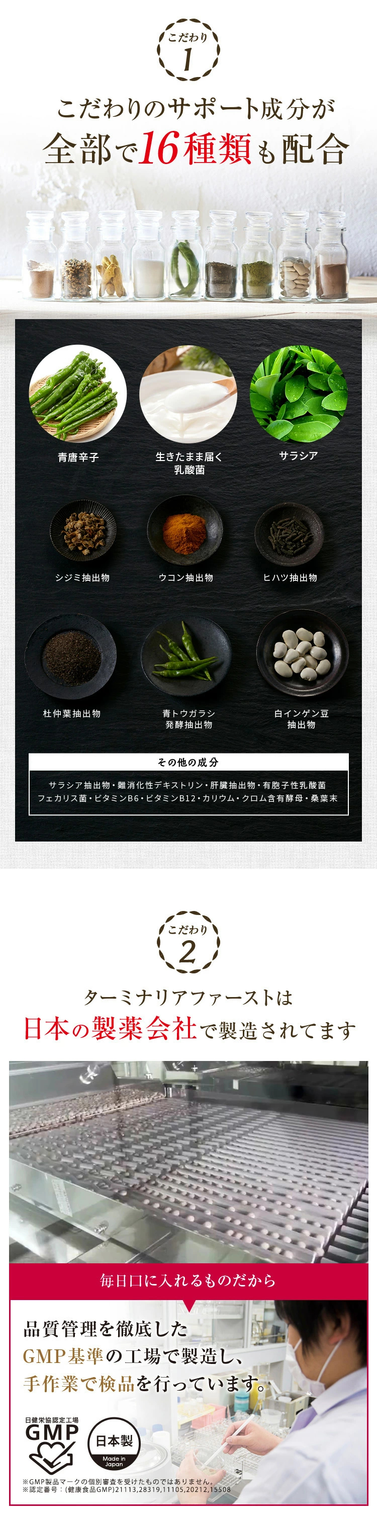 ターミナリアファースト