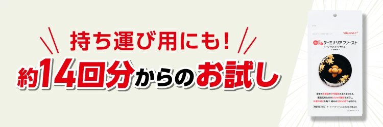 ターミナリアファースト