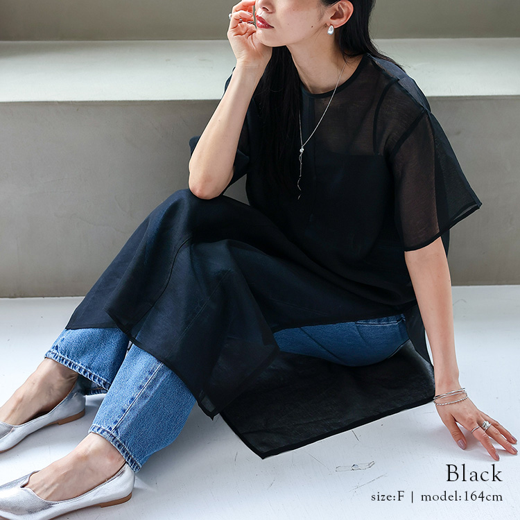 2025年春夏モデル新品タグ付き【Reneルネ】シアーワンピース38 2025年春夏モデル新品タグ付き【Reneルネ】シアーワンピース38 - メルカリ