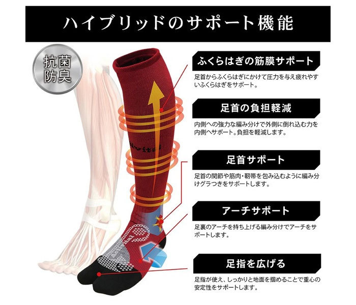 アクティバイタル メンズ レディース ハイブリッド サポーター 靴下