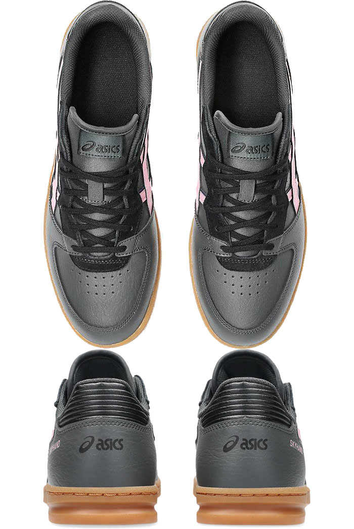 ASICS（アシックス） 普通幅 メンズ レディース スカイハンド SKYHAND