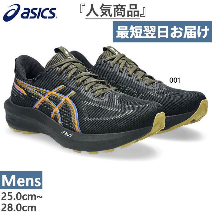 ASICS 普通幅 アシックス メンズ GT-1000 14 ゴアテックス GTX