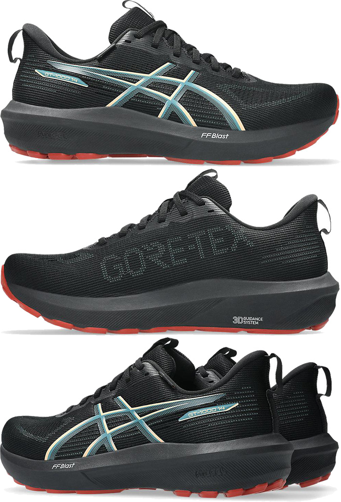 ASICS（アシックス） 普通幅 メンズ GT-1000 14 ゴアテックス GTX