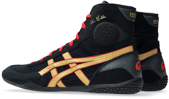 ASICS（アシックス） 普通幅 メンズ ダンゲーブル DAN GABLE EVO 3