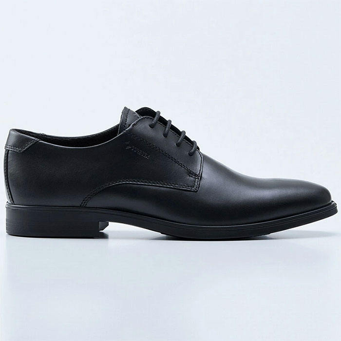 ecco（エコー） メンズ メルボルン MELBOURNE GORE-TEX プレーントゥ