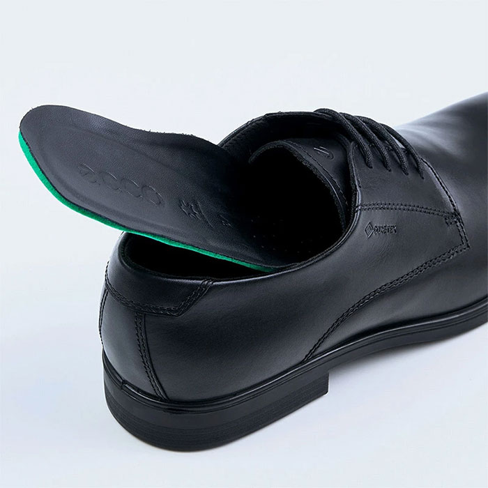 ecco（エコー） メンズ メルボルン MELBOURNE GORE-TEX プレーントゥ