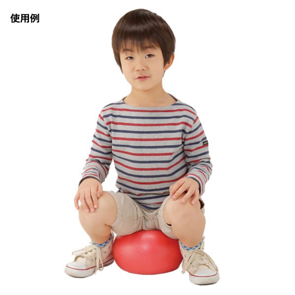 新品 USA直輸入 ブーンバー ラプター トレーニングシューズ 野球 27.0 EVERNEW 直径25cm エバニュー メンズ レディース ジュニア