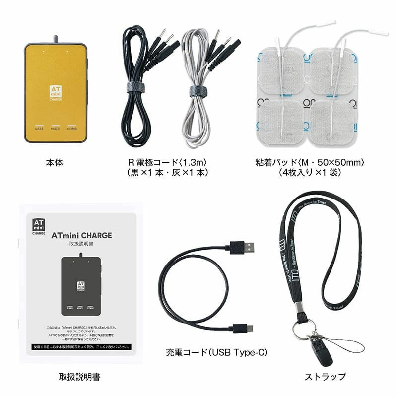 伊藤超短波 メンズ レディース エーティーミニ チャージ ATmini CHARGE