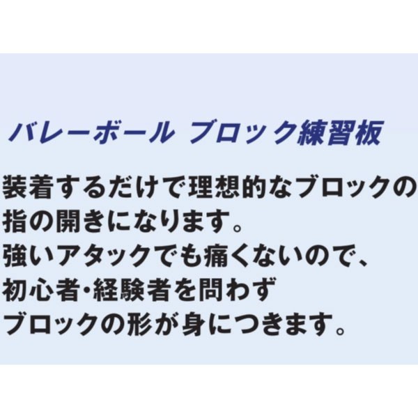 ミカサ メンズ レディース ブロック練習板 ブロッきんぐ AC-BT200