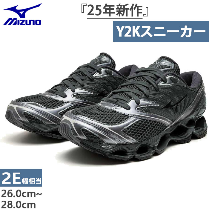 MIZUNO 2E幅相当 ミズノ メンズ ウエーブプロフェシーLS Y2K