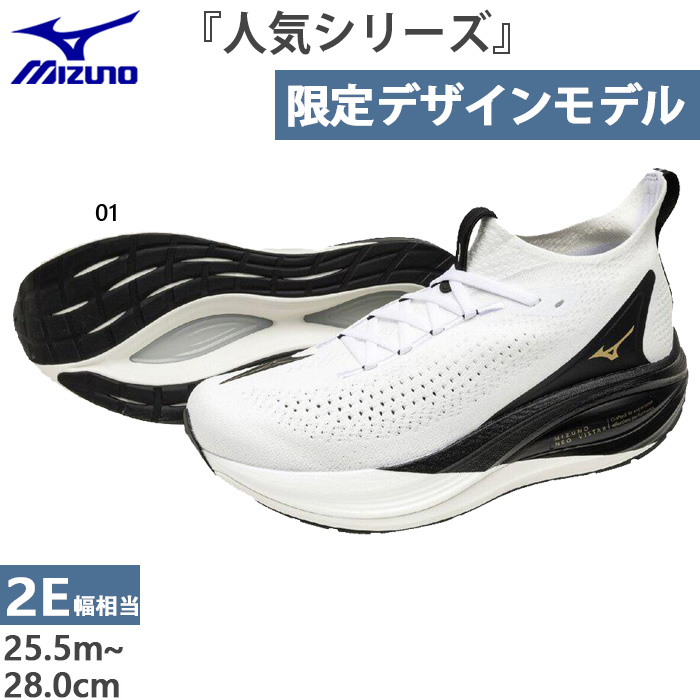 MIZUNO（ミズノ） 2E幅 メンズ ネオビスタ2 オリガミパック ORIGAMI