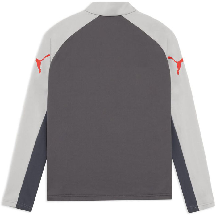 PUMA（プーマ） メンズ サッカー INDIVILIGA 1/4 ジップトップ