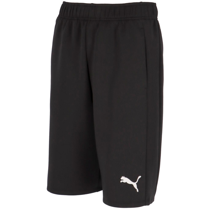PUMA（プーマ） メンズ チームファイナル TEAMFINAL TR HALF パンツ