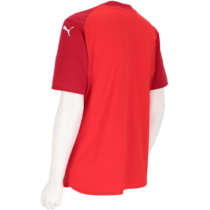 PUMA（プーマ） メンズ チームファイナル ウルトラウェーブ