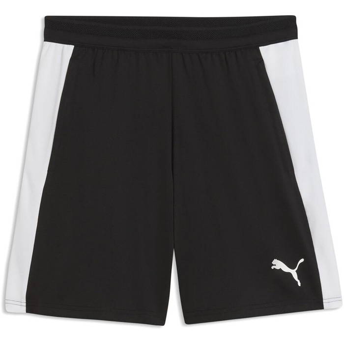 PUMA（プーマ） メンズ チームファイナル teamFINAL26 TR ショーツ