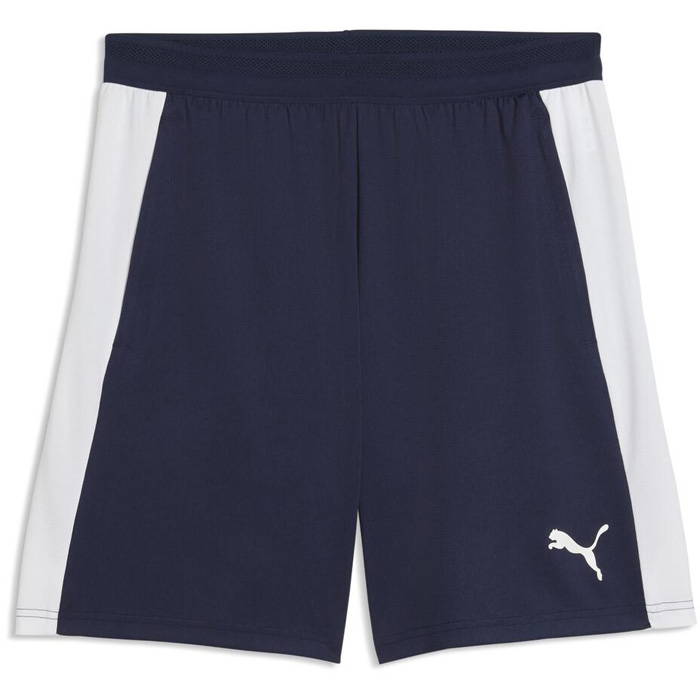 PUMA（プーマ） メンズ チームファイナル teamFINAL26 TR ショーツ