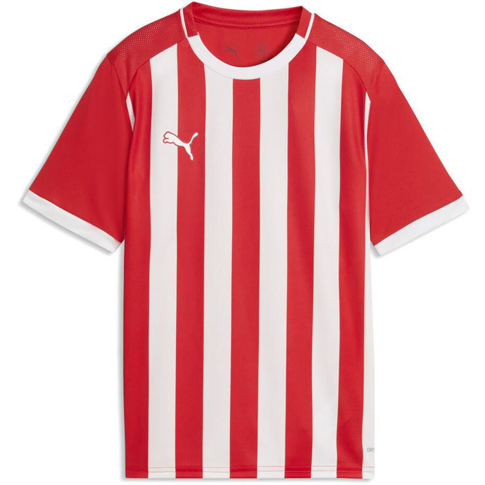 PUMA（プーマ） ジュニア キッズ チームリーガ TEAMLIGA26 ショーツ JR
