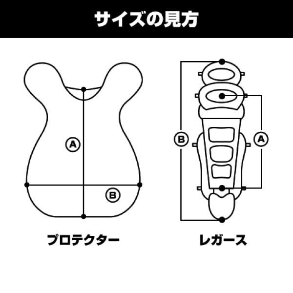 少年ソフトボール用 エスエスケイ野球 ジュニア キッズ プロテクター