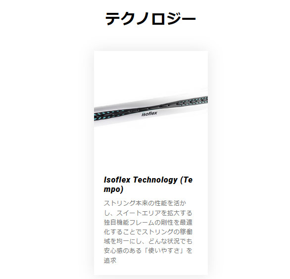 Tecnifibre（テクニファイバー） ガット張り上げ済み メンズ