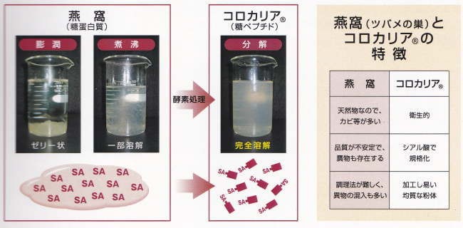 Vital-黒酵母バイオPro 【90包】 : vitalmore - 通販 - Yahoo!ショッピング