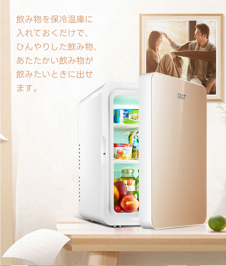 冷蔵庫 キャンプ　22L 小型 冷温庫 ミニ冷蔵庫 ペルチェ式 温度調節可能 Amazon.co.jp: PLIOSN 小型冷蔵庫 22L 小型 冷温庫 ミニ冷蔵庫