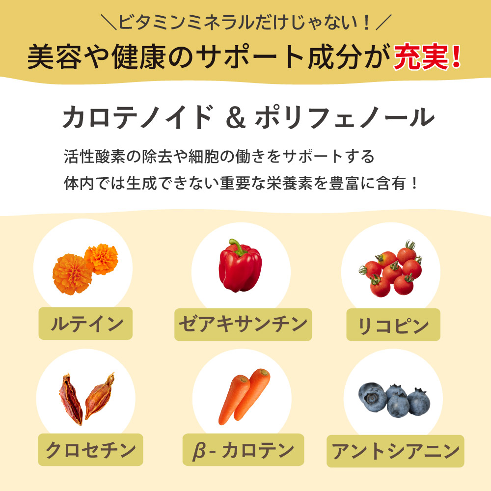 美容　健康　サポート