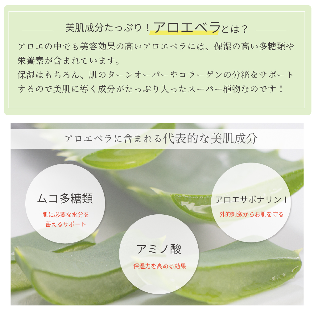 美容成分 たっぷり アロエベラ