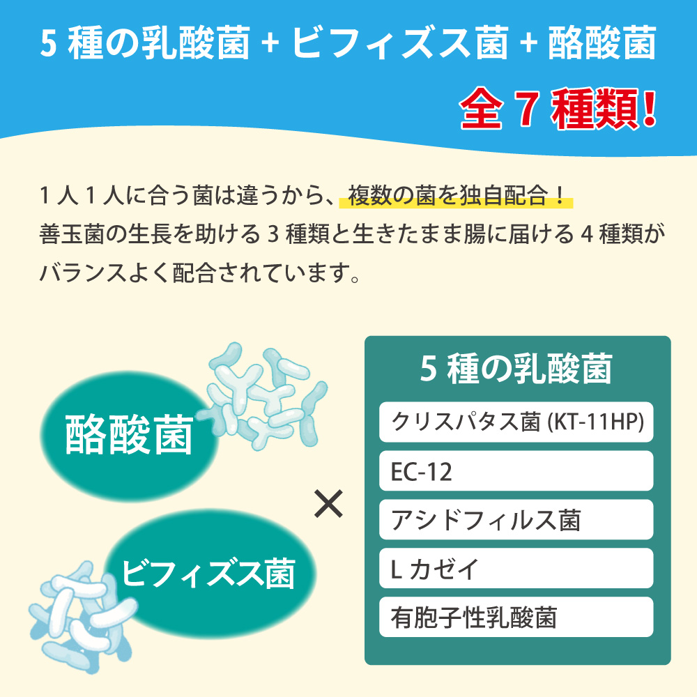 乳酸菌　ビフィズス菌　酪酸菌