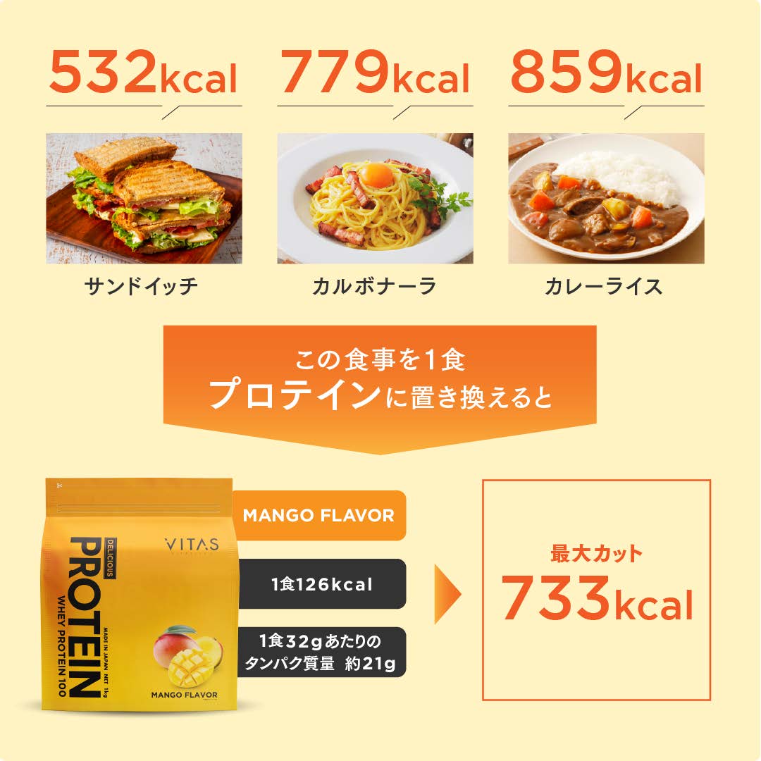VITAS ホエイプロテイン 1kg デリシャスプロテイン ブルーベリー
