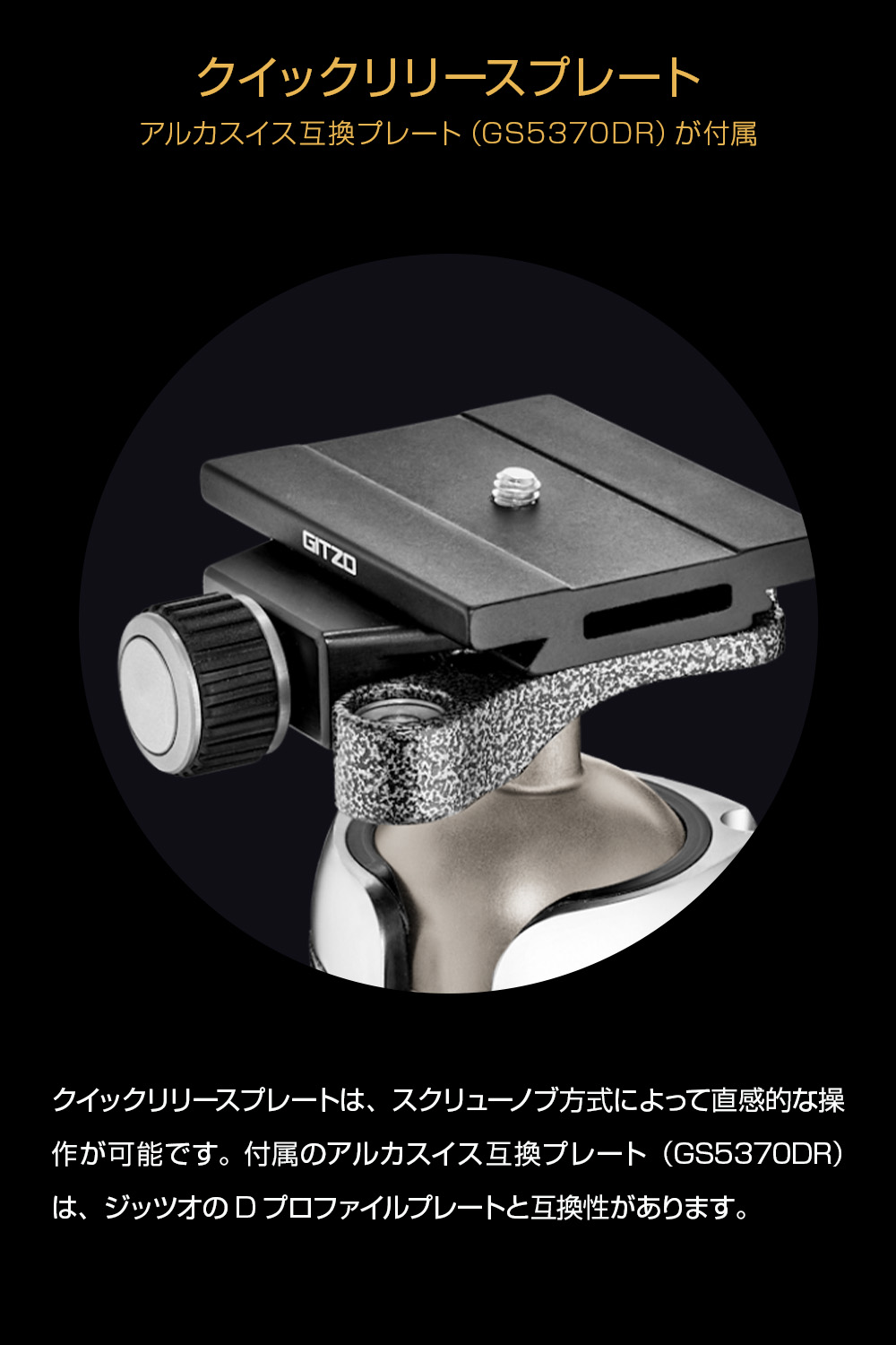 マウンテニア 【Outlet】Gitzo ジッツオ マウンテニア三脚GT2542+雲台