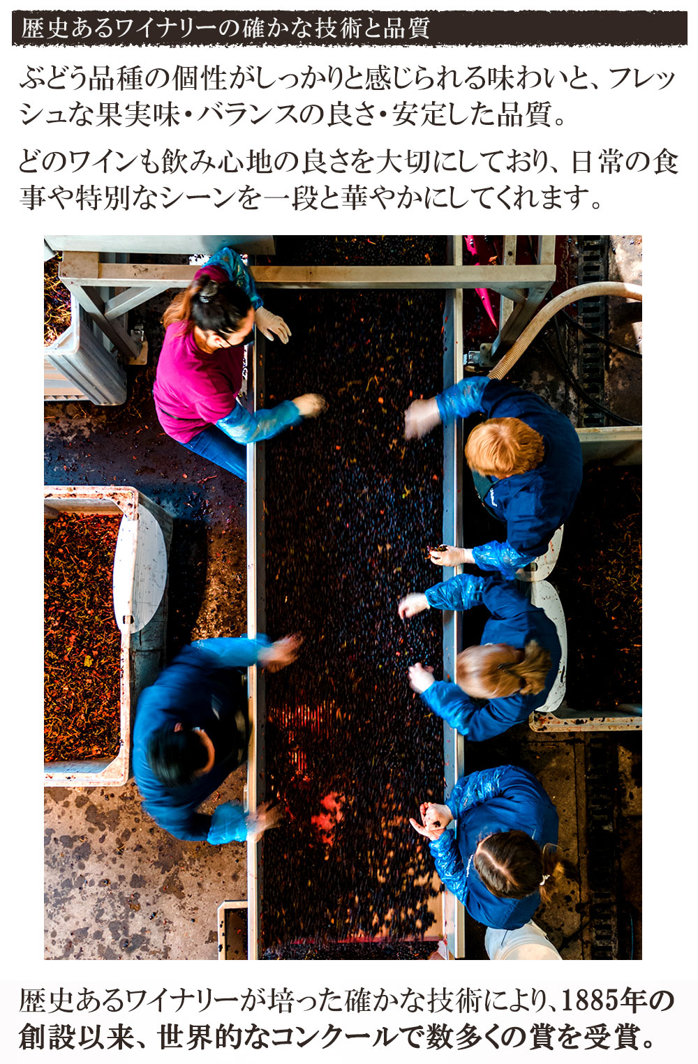 チリ ロゼス パークリング