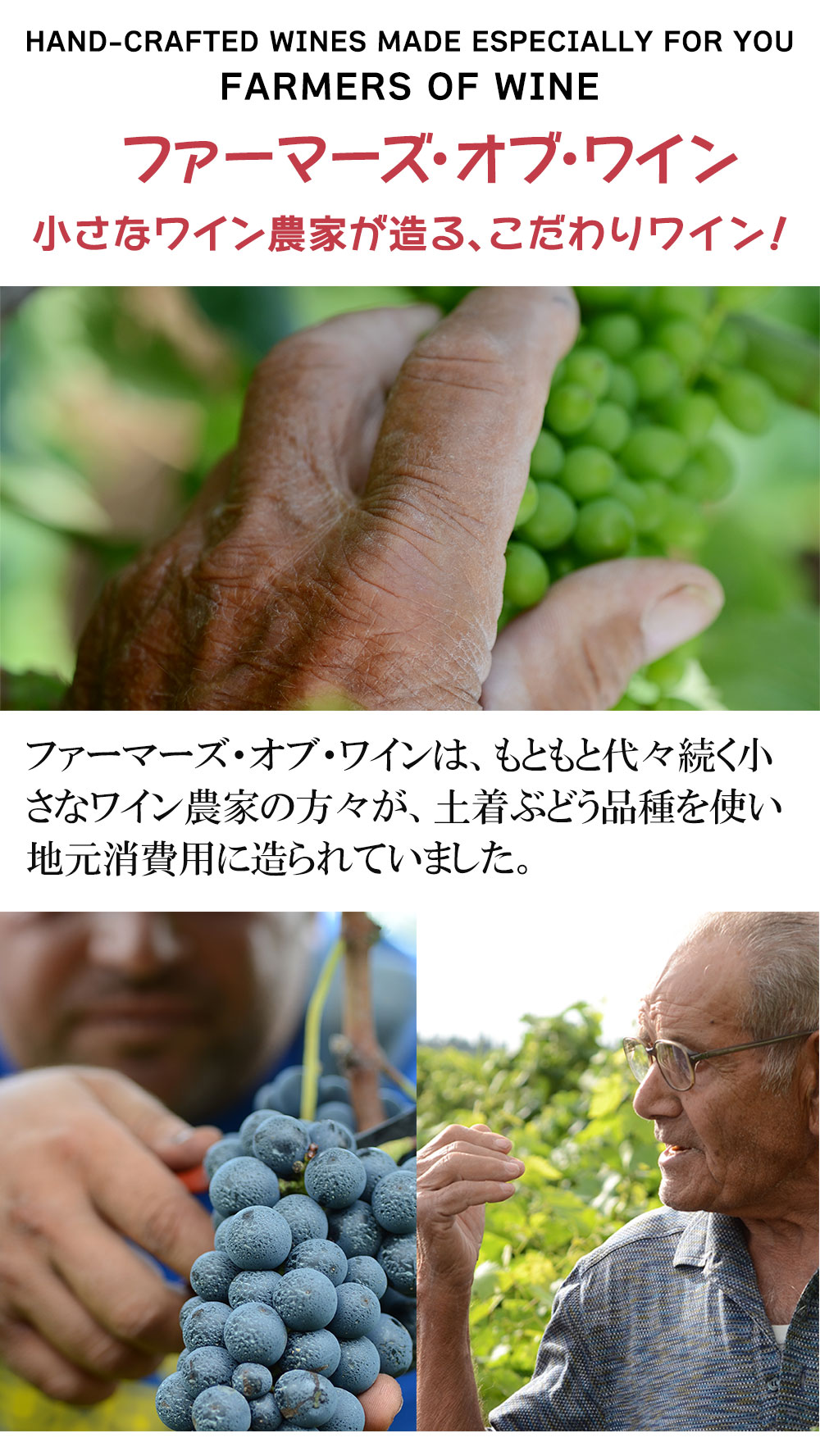 ファーマーズ・オブ・ワイン イタリアン・レッド・ブレンド