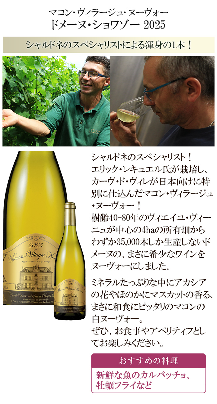 ボジョレーヌーボー2025 ボジョレー ヌーボー ヴィラージュ ヌーヴォー