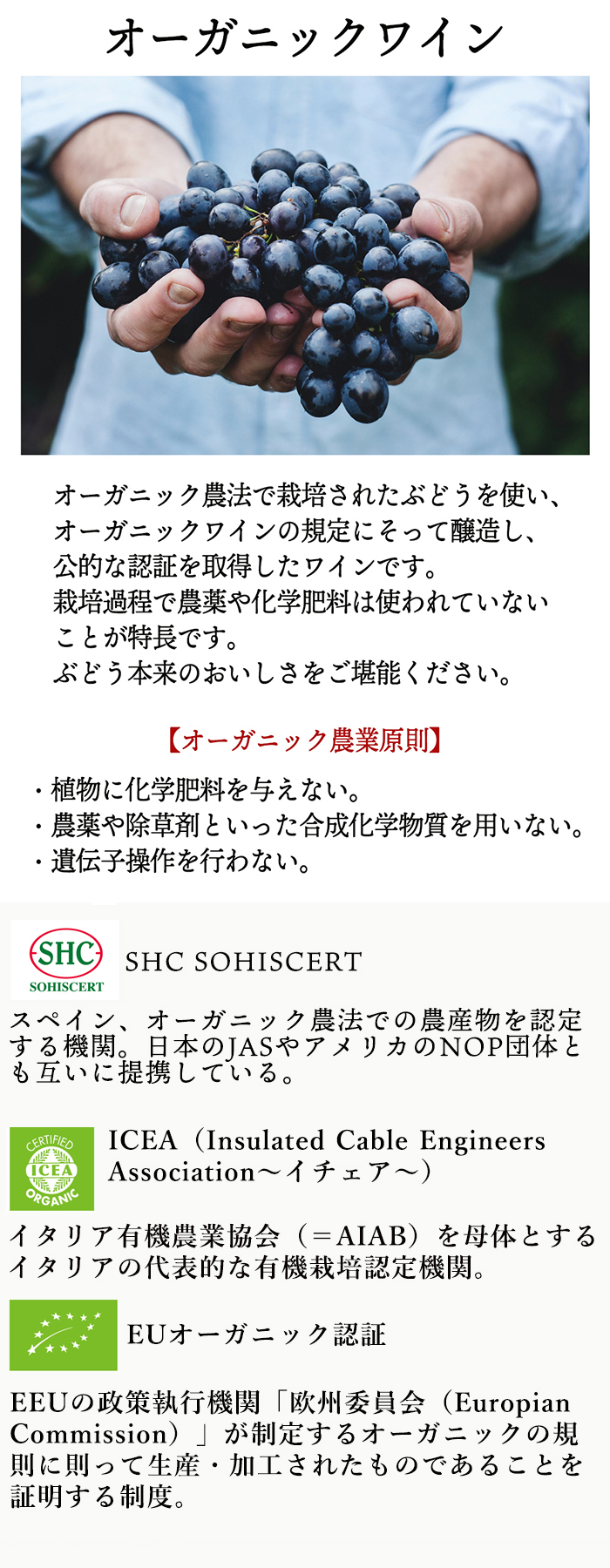 オーガニックワイン赤白5本セット