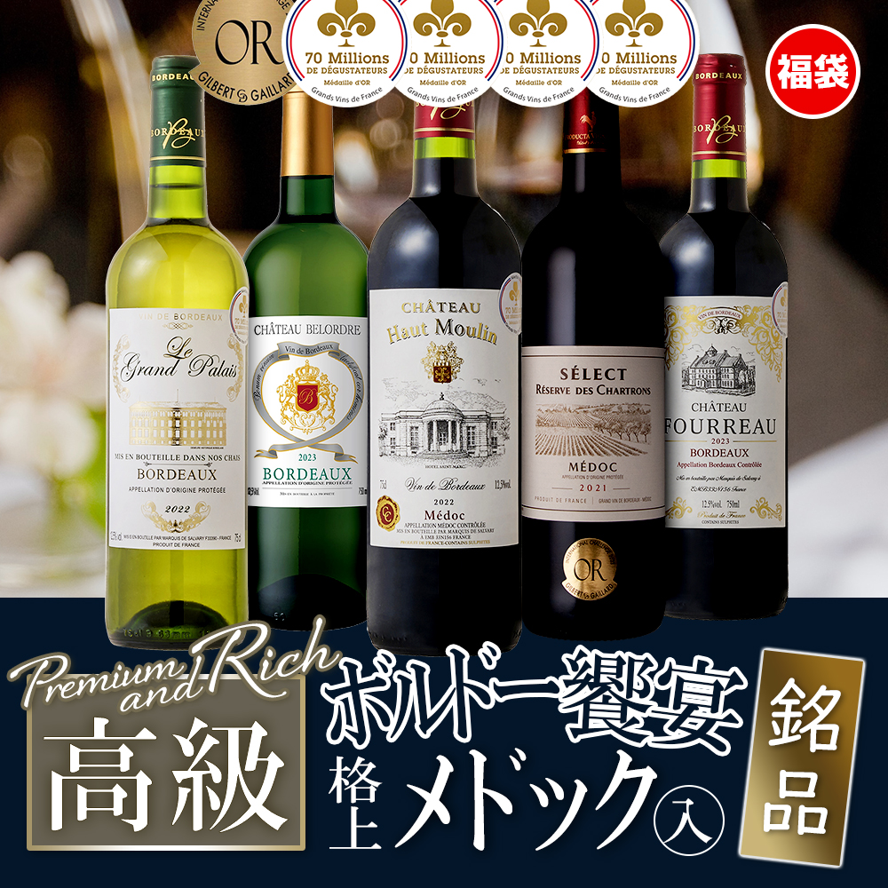 ワインセット 豪華 高級 銘醸地 フランス メドック入り 5本