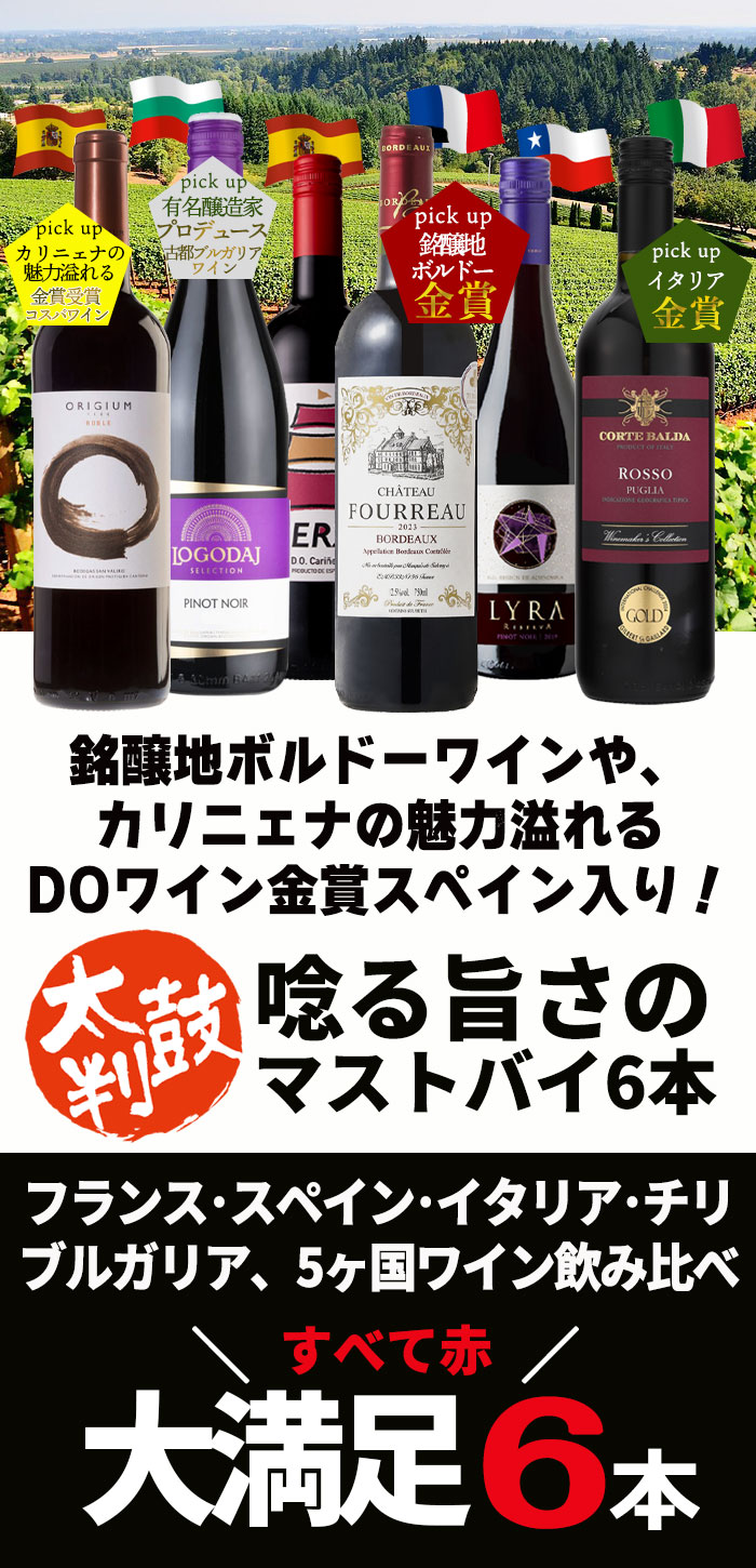ワイン ワインセット 赤ワイン 赤 6本 辛口 お買い得 赤ワイン