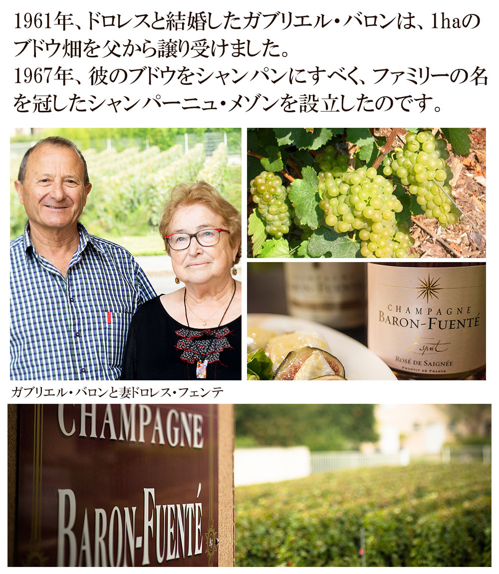 ワイン シャンパーニュ ラ レヴェレーション ブリュット