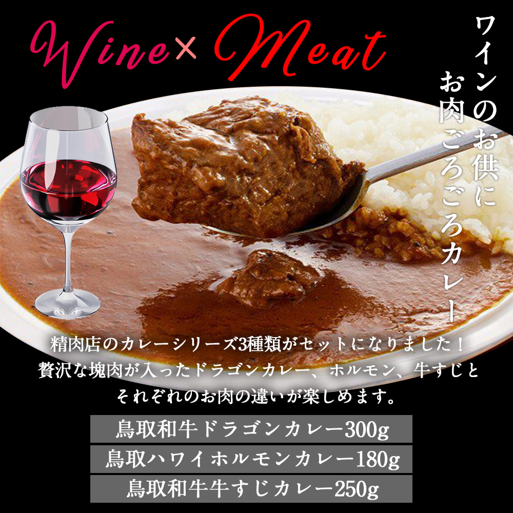 ギフト 精肉店のカレーセット 鳥取和牛 牛肉 カレー カレーセット 3