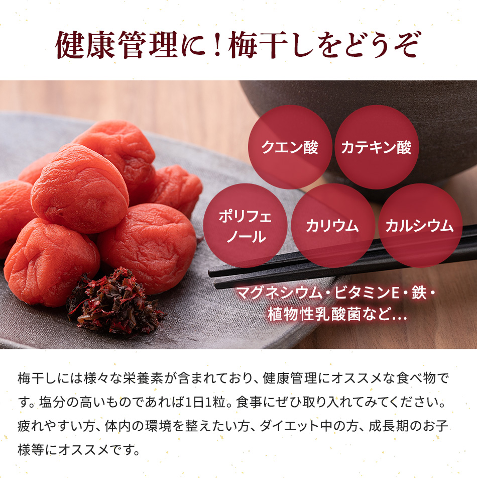 1080円 人気大割引 梅干し 福井梅 塩分18% 内容量 1.6kg しそ