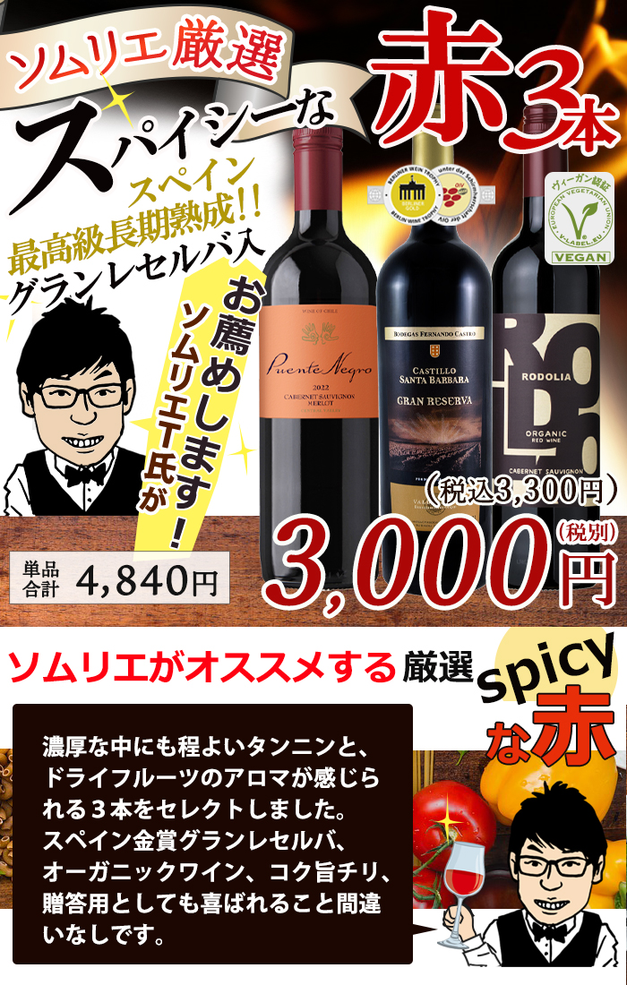 ワイン ワインセット 赤ワイン ソムリエおすすめ スパイシーな赤
