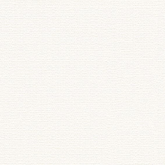 白い壁紙 ビッグエース 壁紙 賃貸 補修 キッチン トイレ 子供部屋 おしゃれ 壁紙