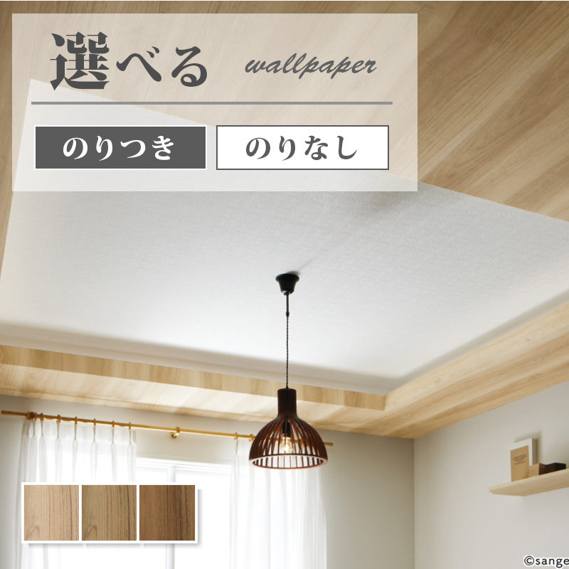 ソテツ 送料込み 共立CS610/50RSD