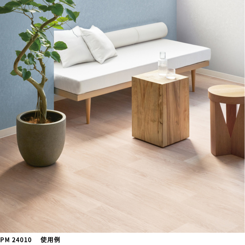 pm24010-24011_2.jpg