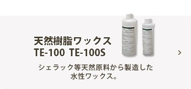 te100