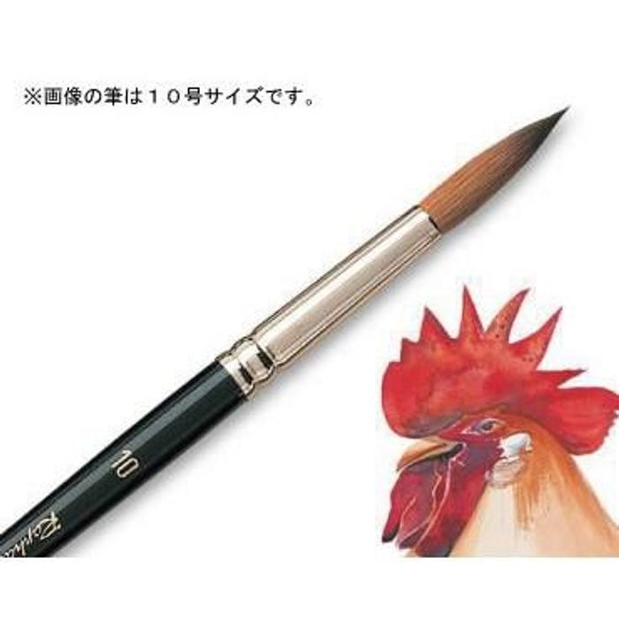 「ラファエル 8404 コリンスキー 丸 24号」「赤テン 丸 8424 11号 ラファエル水彩筆 コリンスキー 8404 (丸筆) 【画材の通販は画材