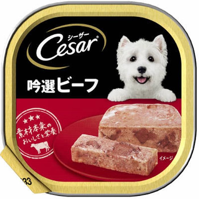 ӡա100 100g ¾顼 ӥХۡ