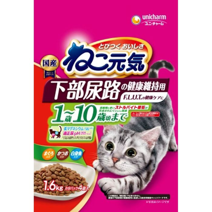 ͤǢϩη򹯰ݻ 110кޤ 1.6kg 1.6kg ¾顼 ӥХۡ