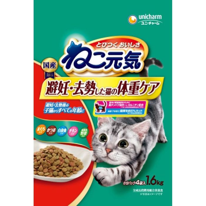 ͤ ǥǭνť16 1.6kg ¾顼 ӥХۡ