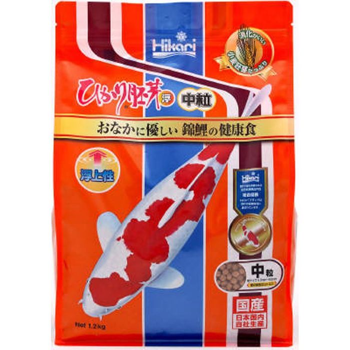 L[@Ђ蕂@@1D2 ̑TCYP ̑J[P roz[
